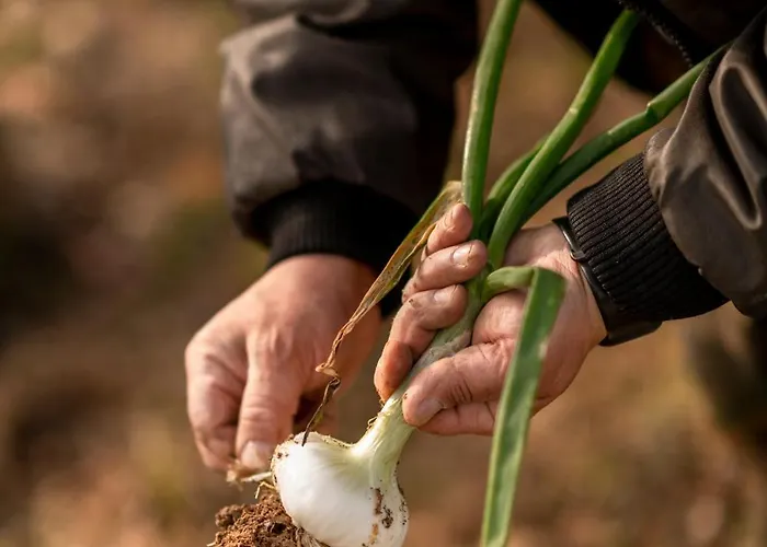 Tema Relais - Tenuta Masciangelo Francavilla Al Mare