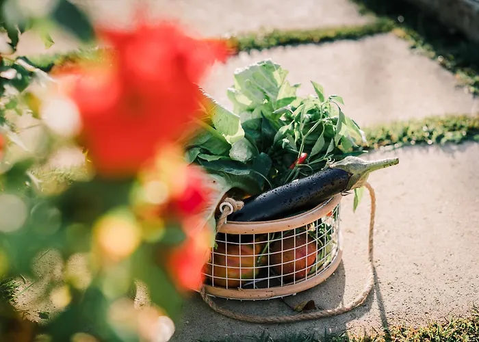 Tema Relais - Tenuta Masciangelo *