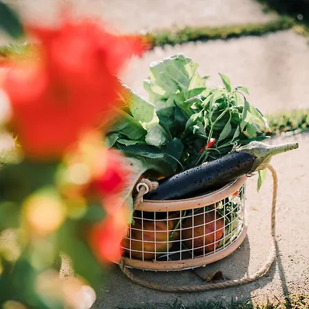 Tema Relais - Tenuta Masciangelo *